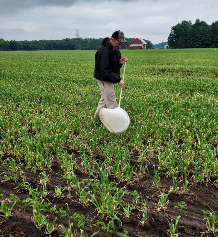 A man with a net walks a field.